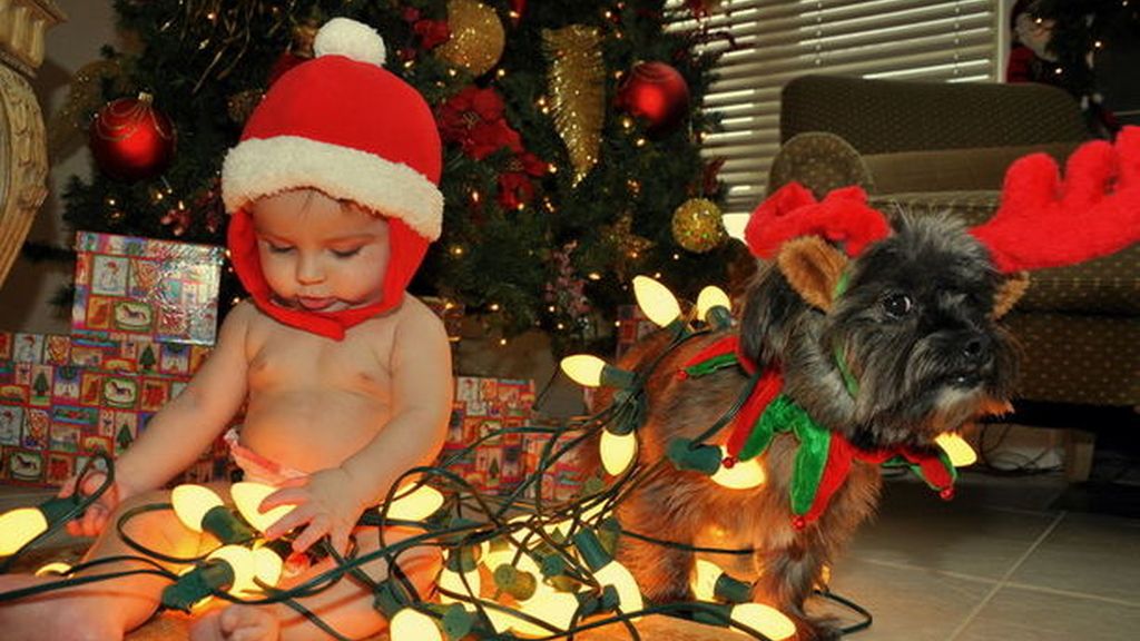 Un bebé y su perrito, iluminados por Navidad