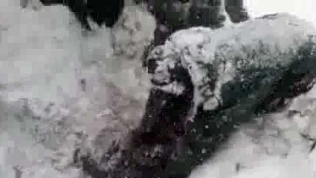 Encuentran vivo a un soldado indio tras permanecer seis días sepultado por la nieve