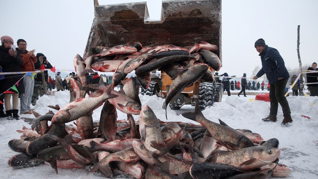 Festival de invierno de pesca en China