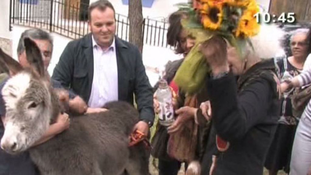 La Duquesa, atacada por una cabra