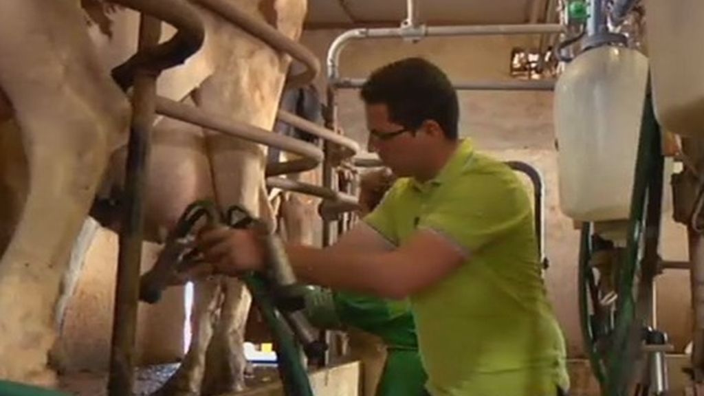 "El trabajo es muy importante, si no hay trabajo, no hay dinero". Joaquín asegura que quiere una chica que sepa administrarse