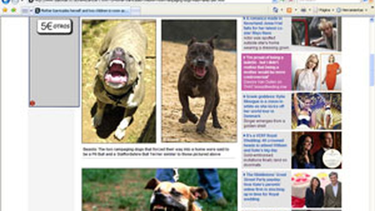 Imágenes de Daily Mail que muestran perros similares a los que atacaron a Sam Thomas y su familia.
