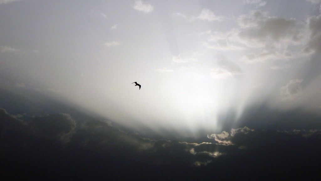 Fotos concurso 'Una imagen, una palabra'