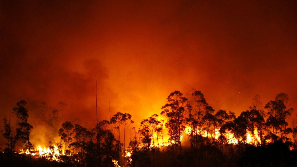 Incendio en Fragas do Eume