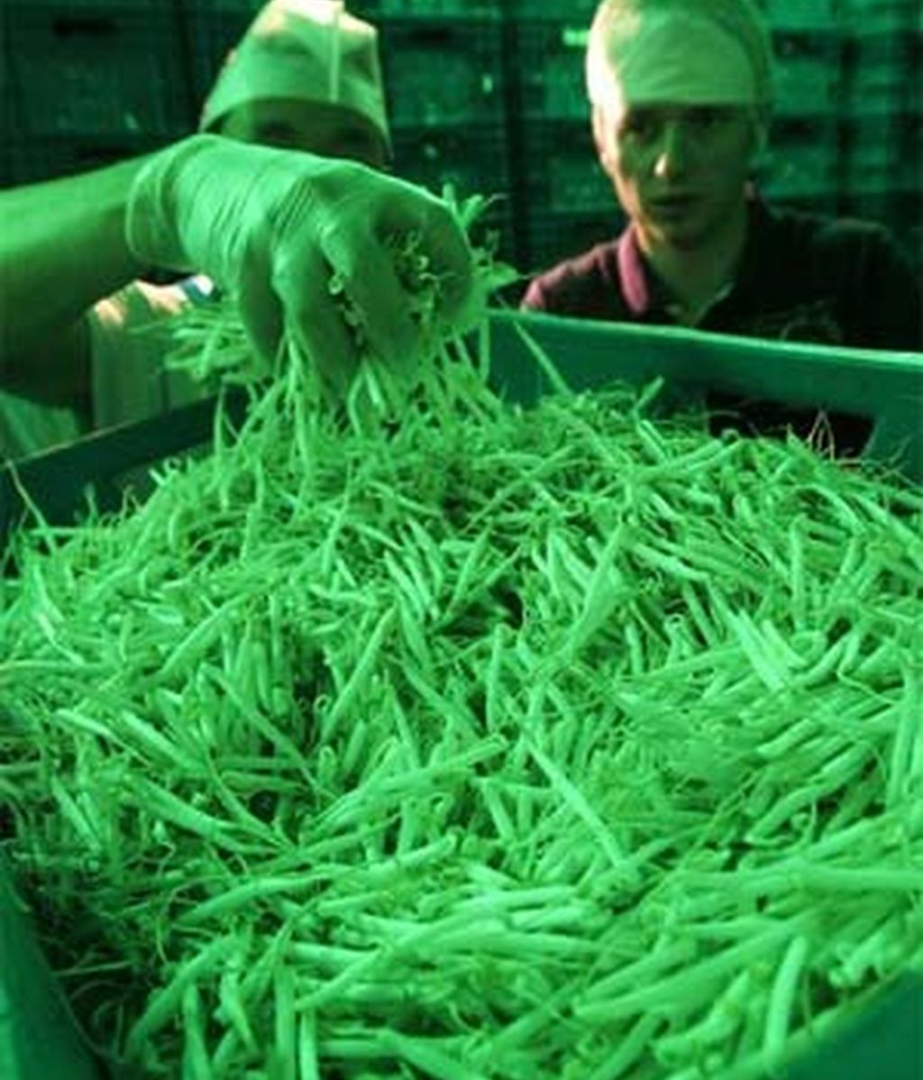 La directora general de Salud Pública ha apuntado que "podría no encontrarse el origen del brote". Foto: Reuters. La directora general de Salud Pública ha apuntado que "podría no encontrarse el origen del brote". Foto: Reuters.