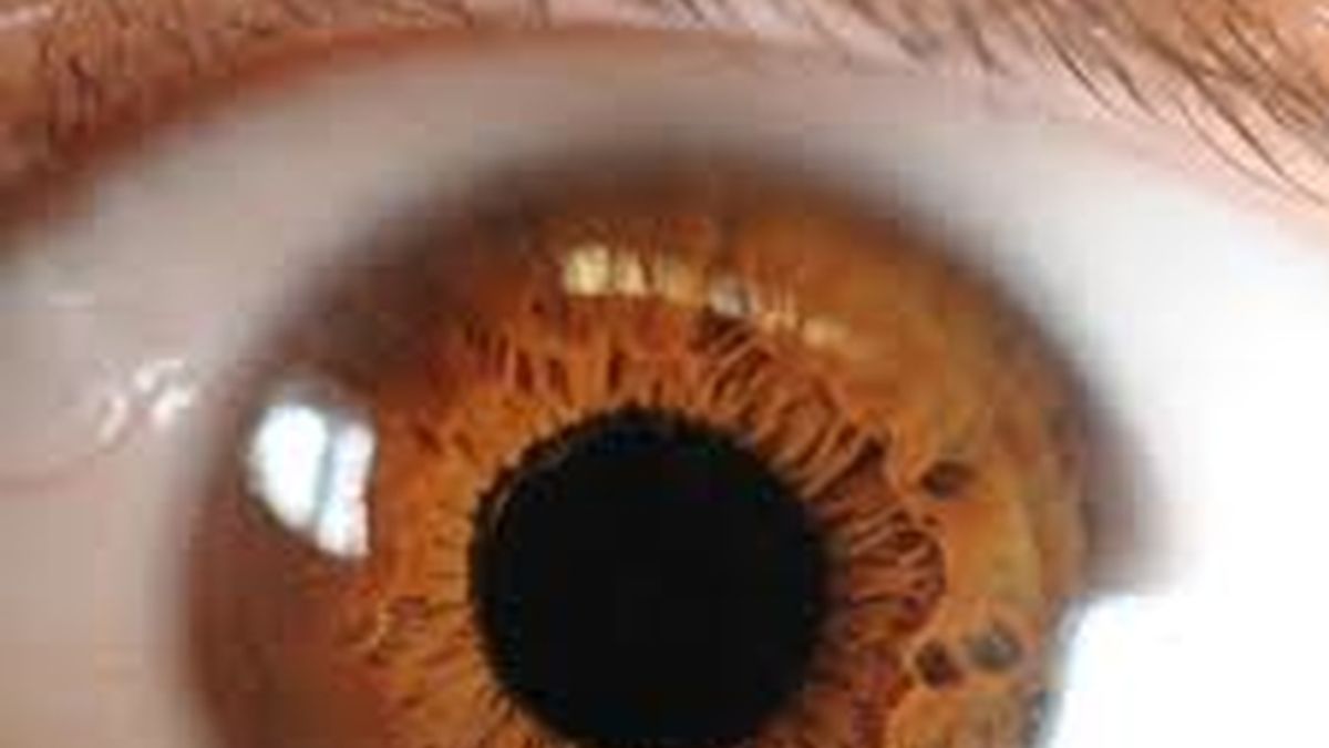 ojo humano, córnea, mirada