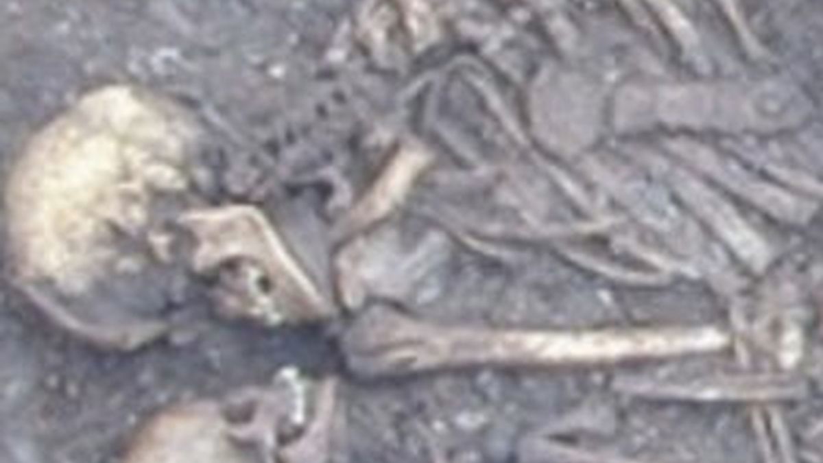 Varios esqueletos que podrían pertenecer a la cultura de la cuerda Ware. Foto: Egyptsearch.com