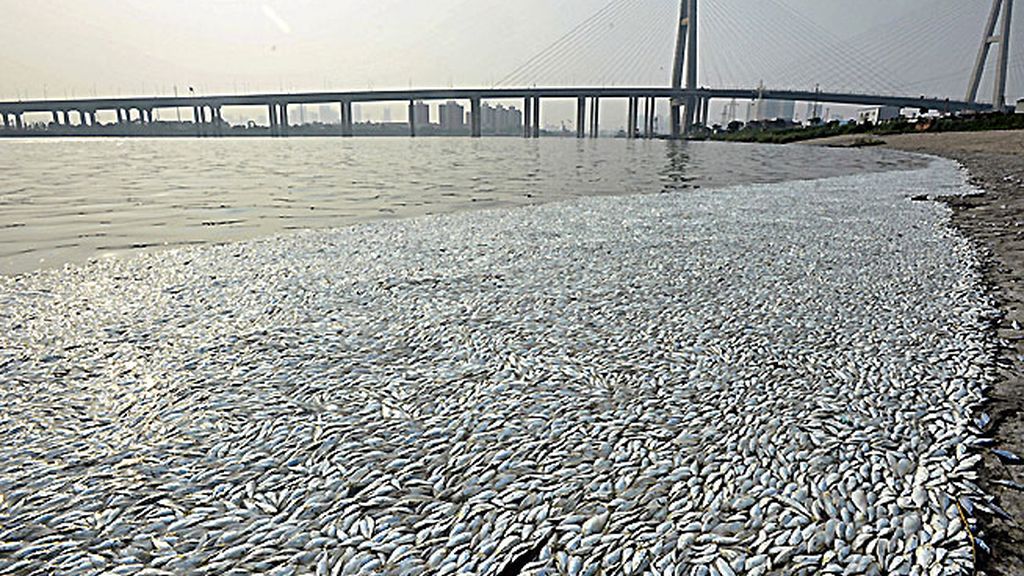 La contaminación por cianuro crea alarma en Tianjin