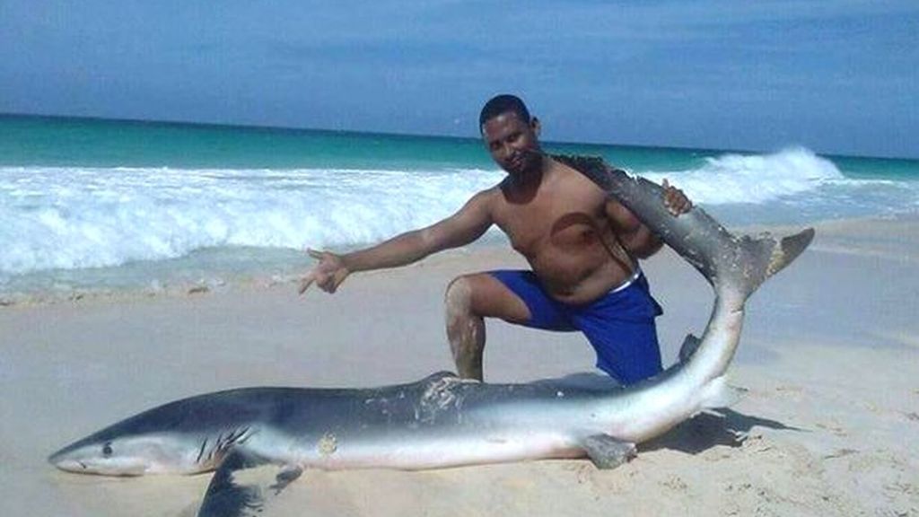 Unos turistas matan a un tiburón por el capricho de hacerse una foto con él