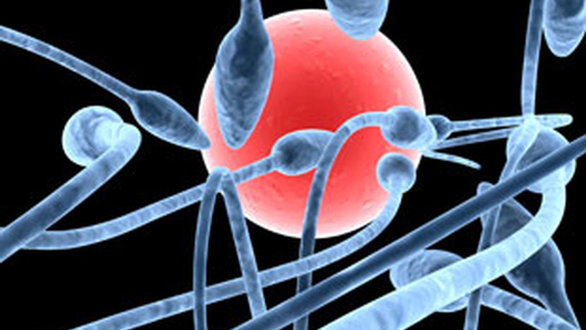 La mutación de un gen de una proteína del esperma puede ser la causa de la infertilidad masculina. Foto: Gtres.