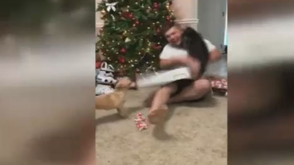 Un gato ataca su dueño mientras abre su regalo de Navidad