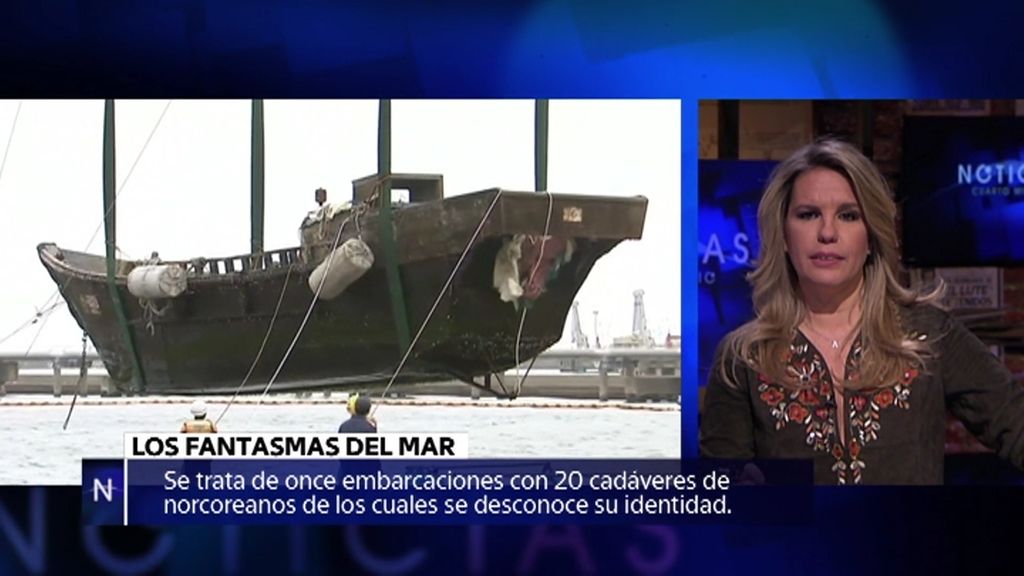 Barcos fantasma, reina Nefertitti y calamar gigante… noticias de la semana