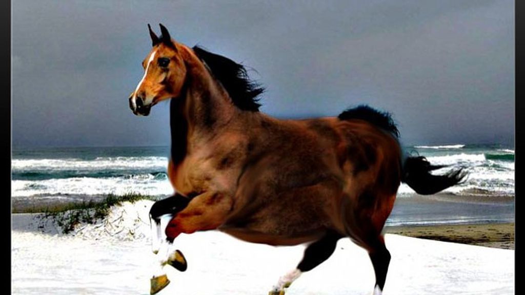 La obesidad en el reino animal