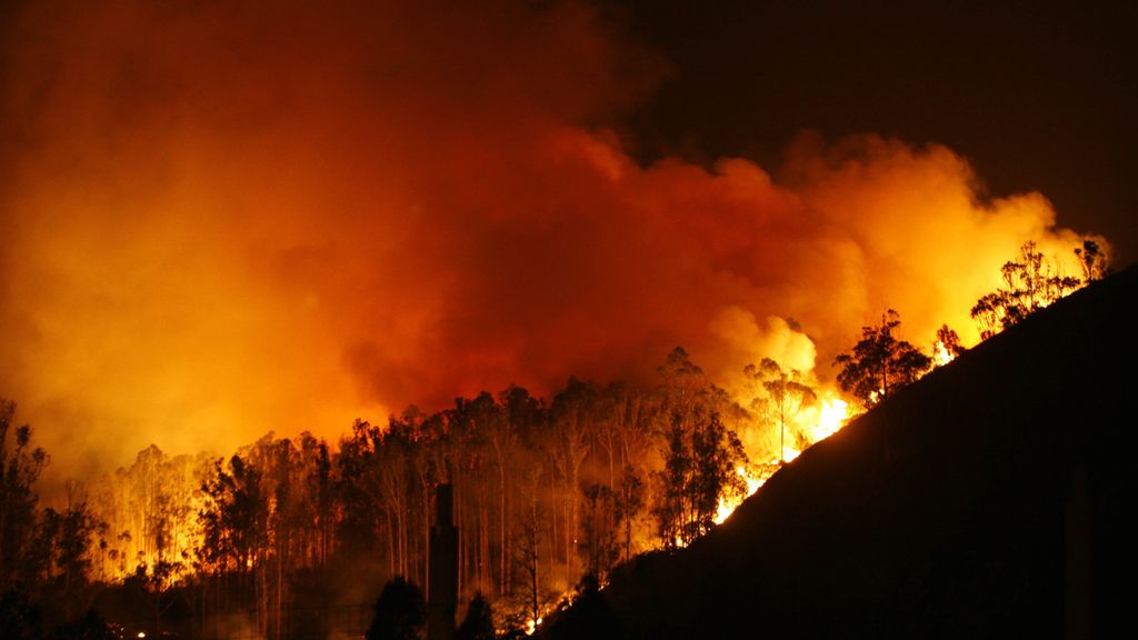 El fuego devora Fragas do Eume
