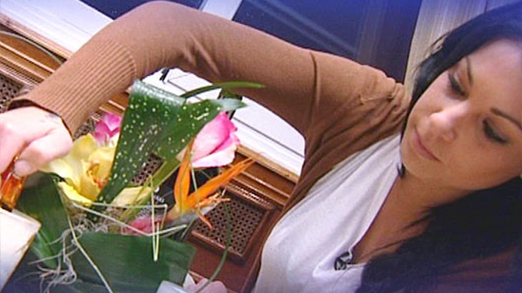 Fabián y Sonia: Cita final, 1ª parte