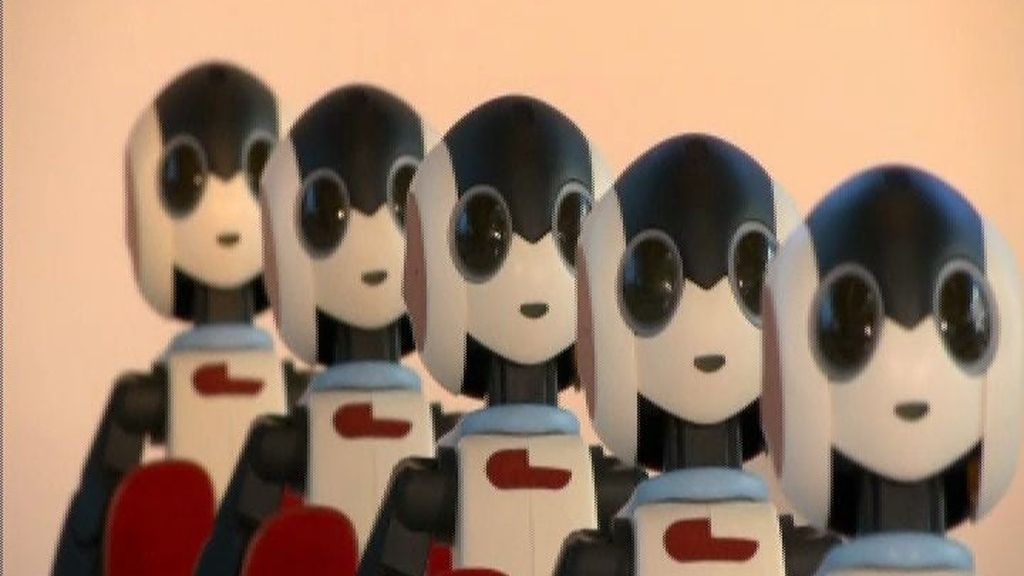 Hágase un robot usted mismo y disfrútelo en su casa