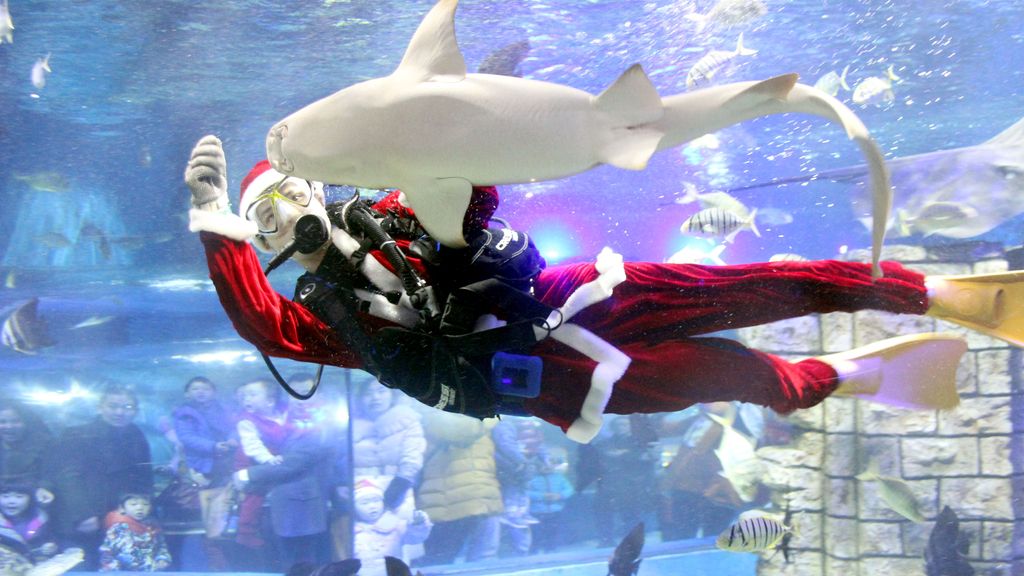 Papá Noel nadando entre tiburones en China