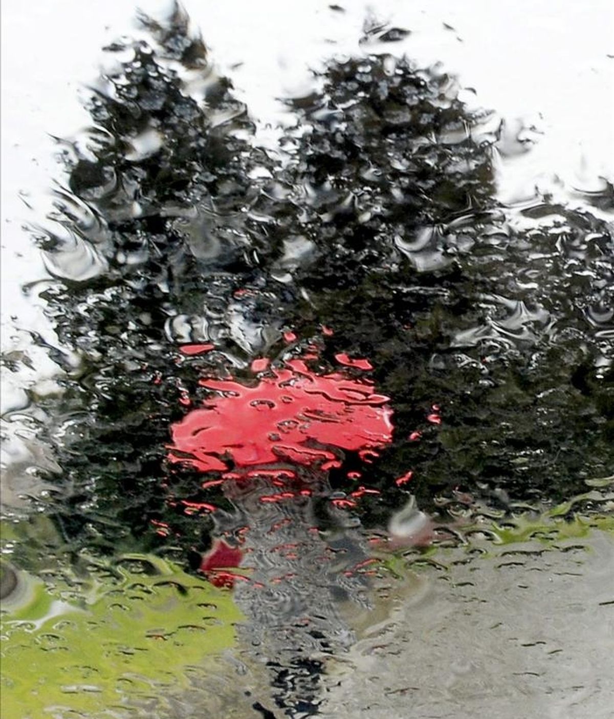 Una persona se protege con un paraguas de la intensa lluvia que caía ayer en Pamplona. EFE Una persona se protege con un paraguas de la intensa lluvia que caía ayer en Pamplona. EFE