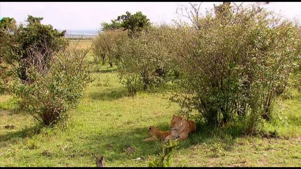 El Parque Nacional de Masai Mara