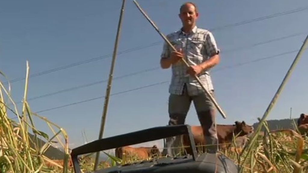 Melendi cuida tanto a sus vacas que hasta les pone música para que se familiaricen con la música, "Yo creo que les gusta", asegura.