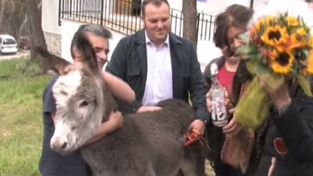 La Duquesa, atacada por una cabra