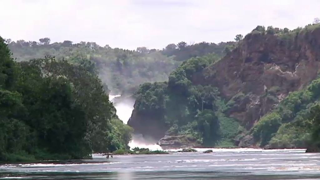 Un paseo por la Sabana
