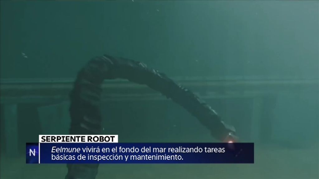 Serpiente robot, la momia Ötzi o la Cámara de Ámbar… noticias de la semana