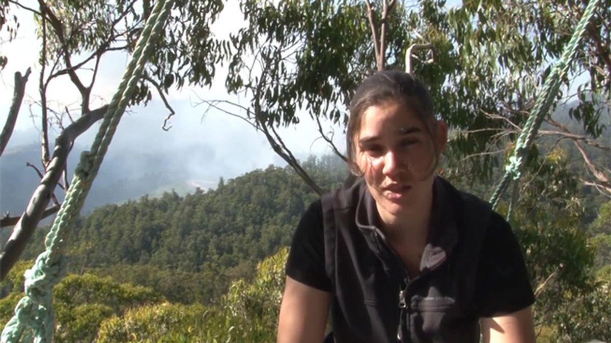 Miranda Gibson, pasó 457 días en un árbol contra la tala en los bosques