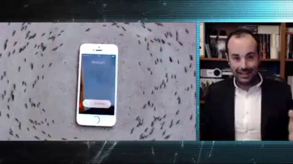 Misterio 4.0: Desmontamos el vídeo viral de las hormigas alrededor de un teléfono