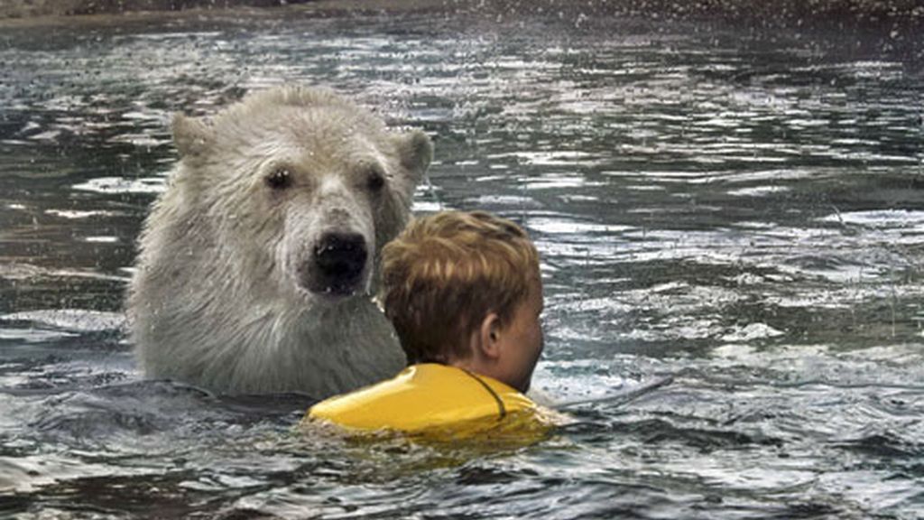 Un baño con... osos polares