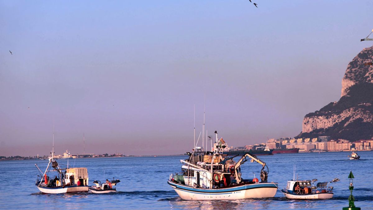 Pesqueros del puerto de Algeciras salían esta tarde para faenar en aguas de la bahía