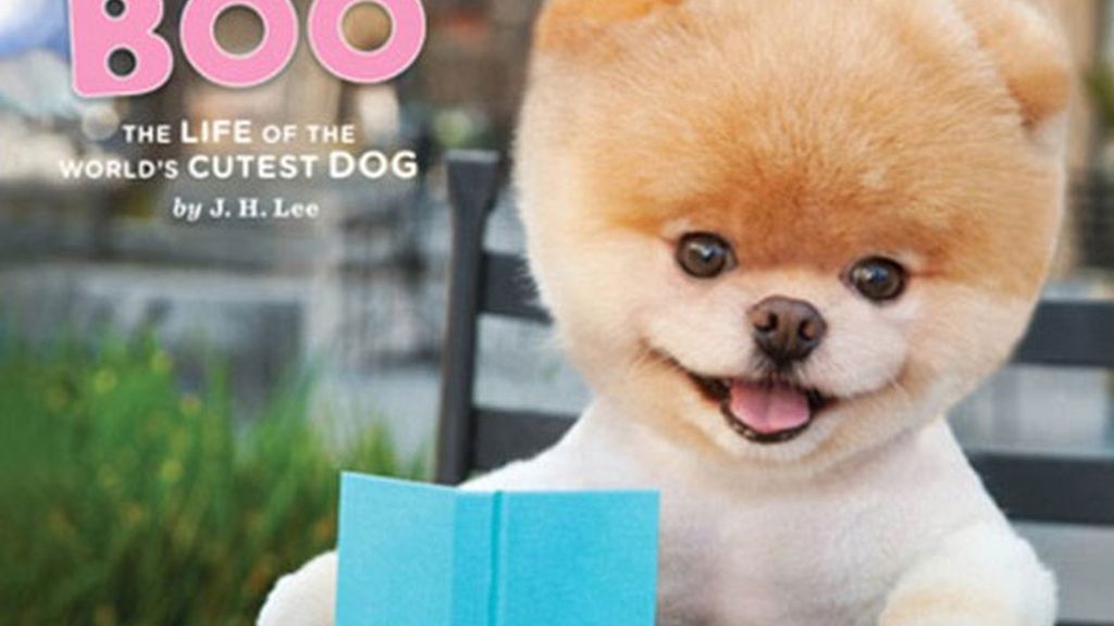 El perro de los dos millones de fans