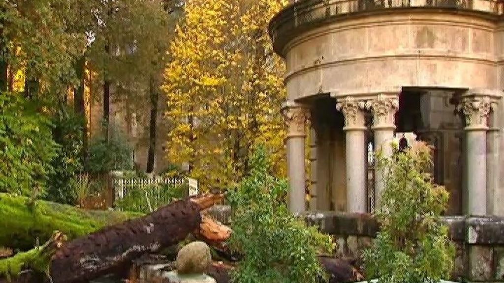 Herido un niño en Mondariz tras caerle un árbol