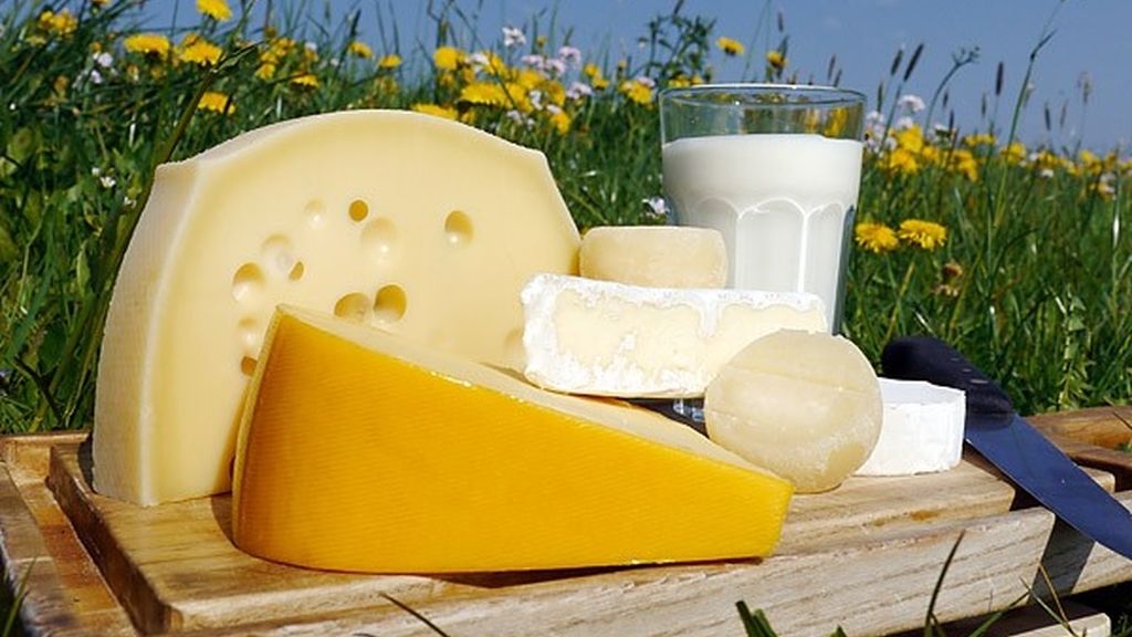 El queso y la leche, alimentos para mantener en forma el 