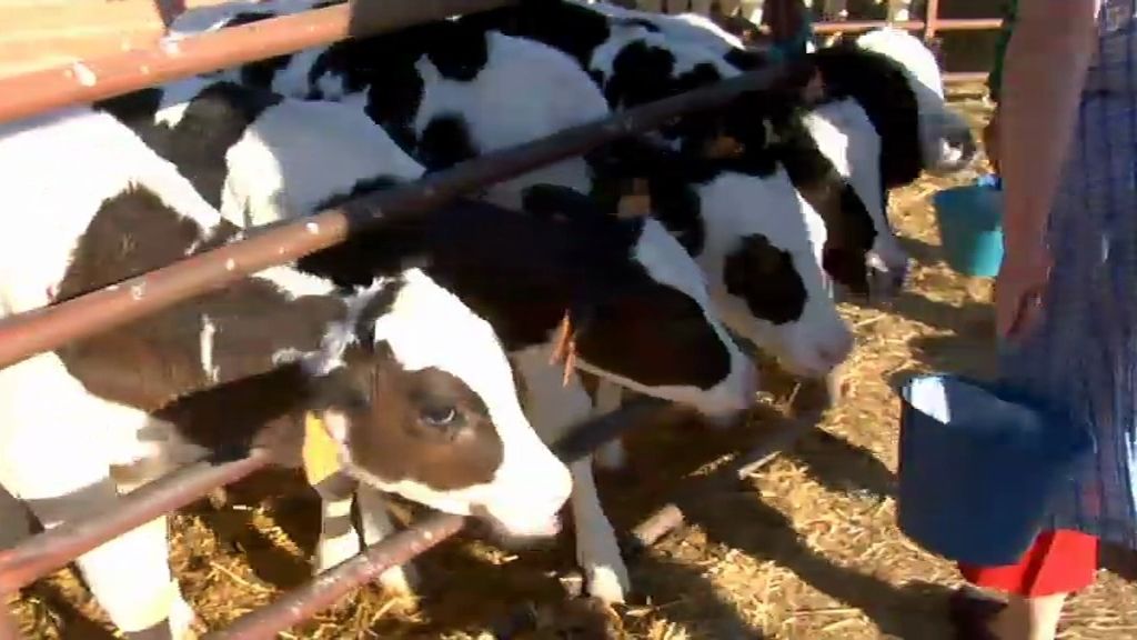 Es una lata el trabajar