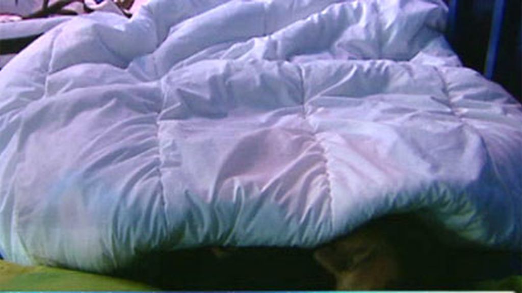 ¿Un castigo o un premio para los dos tortolitos?