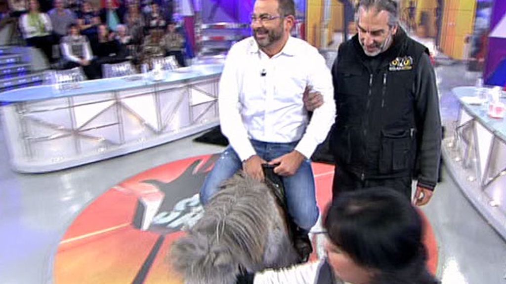 Chiqui entra en plató a lomos de un poni y Jorge Javier le imita
