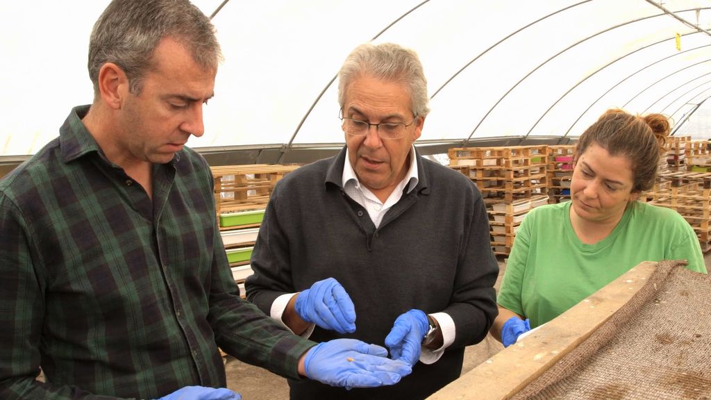 Nacho Medina visita una granja española que produce gusanos para el consumo humano