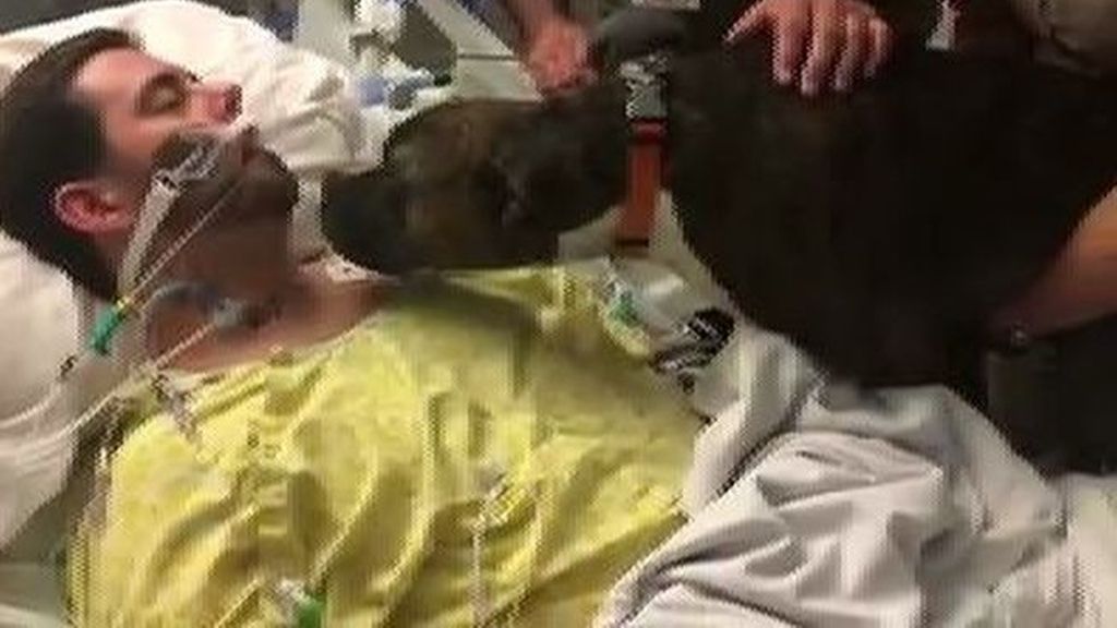 La emotiva despedida de una perra a su dueño en coma antes de ser desconectado