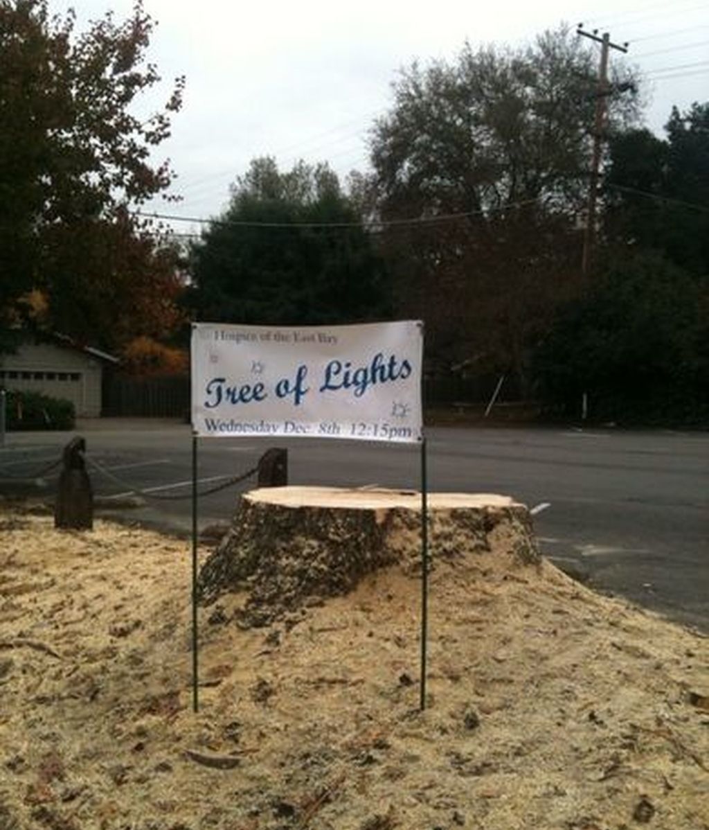 Venden un árbol con luces navideñas... ¿talado?
