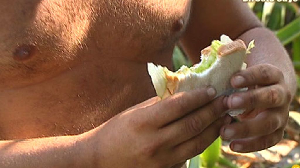 La 'envidia cochina' de los supervivientes