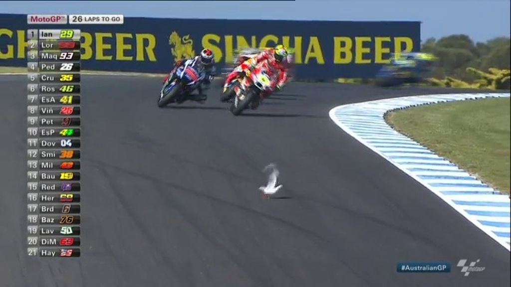 ¡Una gaviota golpea el casco de Iannone en mitad de la carrera! ¡Vaya peligro!