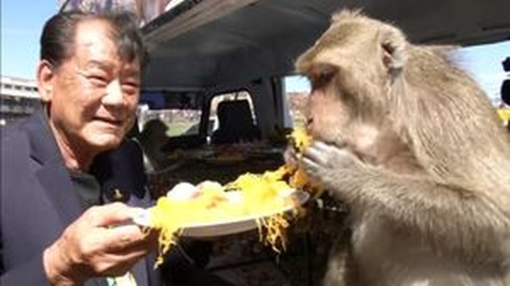 La provincia tailandesa de Lopburi honra con frutas y verduras a miles de monos