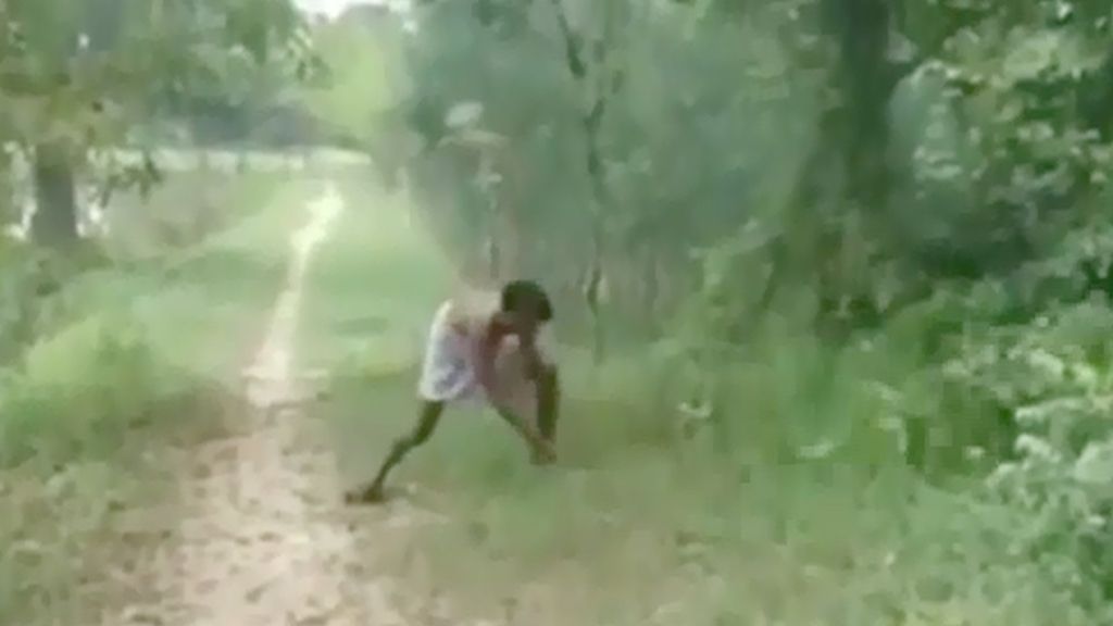 Un hombre pelea con una 'King Cobra' después de que una matase a su hijo