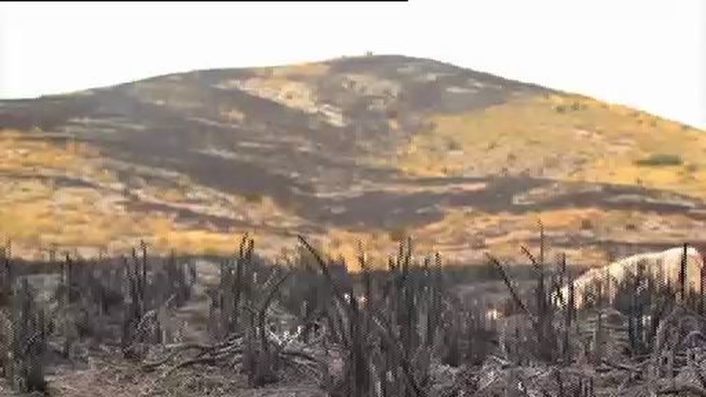 El fuego que ha arrasado más de 600 hectáreas en Murcia