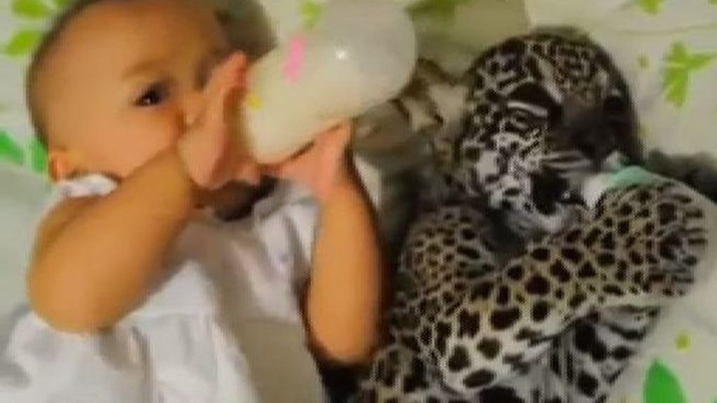 Cuando la mascota de tu bebé es un...leopardo
