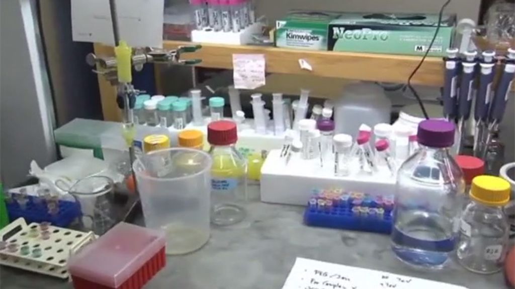 Científicos madrileños crean una superbola de azúcar que impide la propagación del ébola