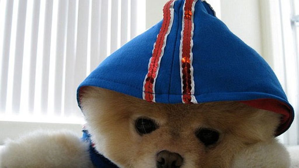 El perro de los dos millones de fans