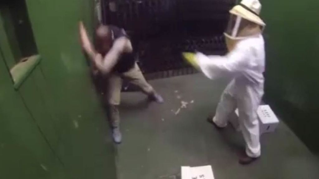 Unas falsas abejas, protagonistas de una broma pesada