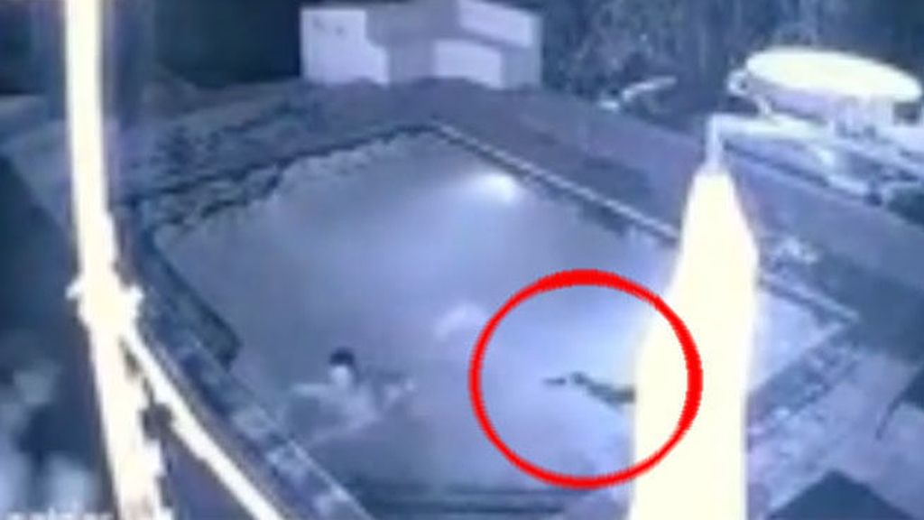 Una mujer es mordida por un cocodrilo que se mete en la piscina de su casa